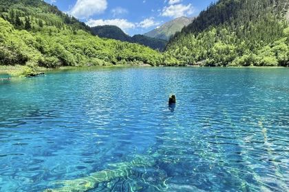 喜马拉雅音乐藏餐吧