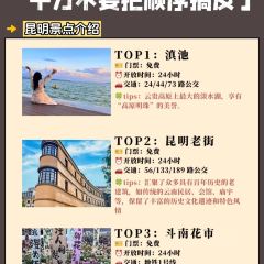 菌齐彩菇 User Photo