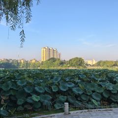 金地肥牛府(秀水街店) User Photo