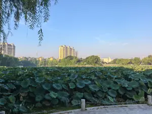 金地肥牛府(秀水街店)
