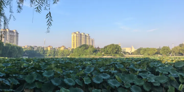 金地肥牛府(秀水街店)