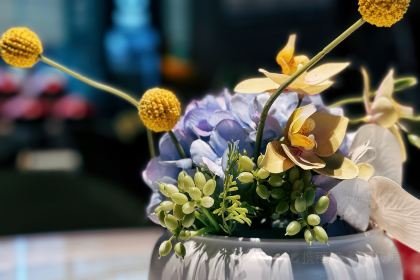 一品红养生汤煲(融汇温泉店)