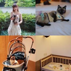 SEN Cuisine User Photo