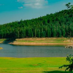 Zhan yi gong shi la zi Chicken (zhan yi) User Photo