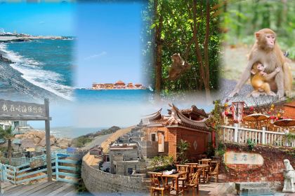 LIN JIA MIN NAN FLAVOR