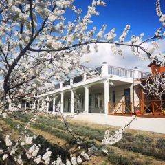 点将台星空营地(博乐赛里木湖店)·自助餐厅 User Photo