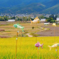 村边·合CAFE User Photo