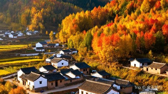 da jue shan hong ye gu