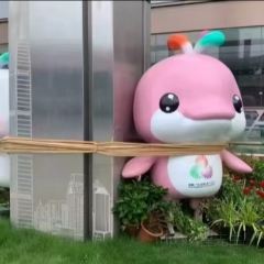 FREE TIME User Photo