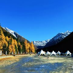 遇见音乐餐吧 User Photo