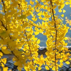 老字号·九宫土菜馆(一店) 여행 사진