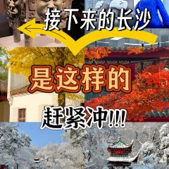 Tang you ba ba User Photo