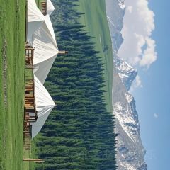 위 가문의 새끼 여행 사진