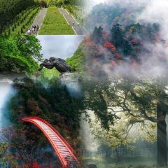 农家土菜老煨锅(木鱼镇店) 여행 사진