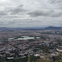 LIN JIA MIN NAN FLAVOR User Photo