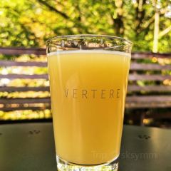 VERTERE Taproom User Photo
