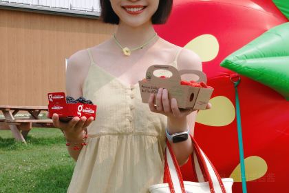 Chocolaterie de l'île d'Orléans St-Laurent