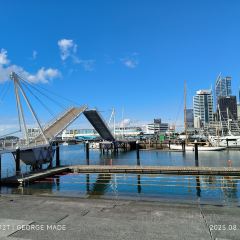 Harbourside Ocean Bar Grill User Photo