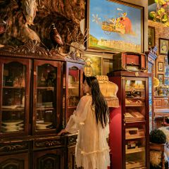 Giginova ảnh của người dùng