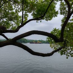 JIANGNAN Impression Chinese Restaurant User Photo