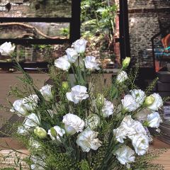 篽箖·上野書屋張用戶圖片