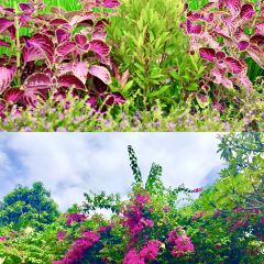 Bebek Joni Restaurant User Photo