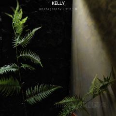 鮨凡·Omakase(深圳湾店) User Photo