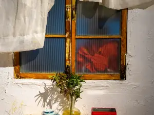 赵家蒸鸡鸡汤(解放路店)