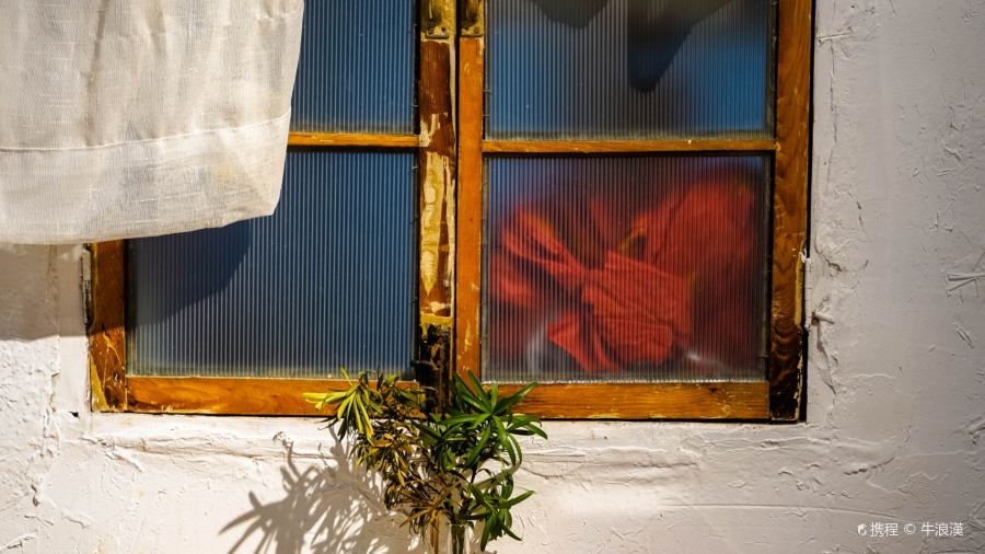 赵家蒸鸡鸡汤(解放路店)