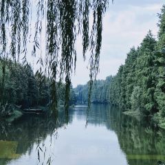 图影农庄·地道农家特色菜 User Photo