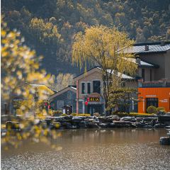 五台山万豪酒店·紫府名厨全日西餐厅 User Photo