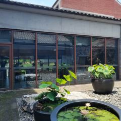 云几·江南茶宴(汤山矿坑公园店) User Photo