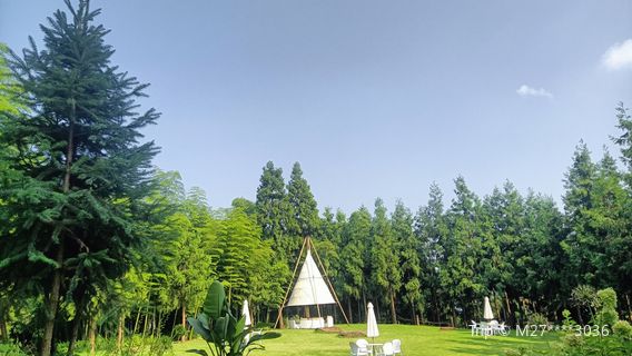 Punayya International Tourism Resort