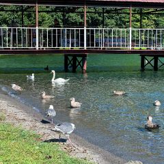 Lake Hill Farm User Photo