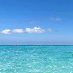 Le Basilic - Grand Fiesta Americana Coral Beach ảnh của người dùng