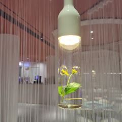 华莱士(首一店) User Photo