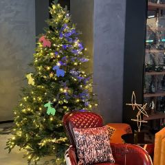 MAX SHANGHAI User Photo