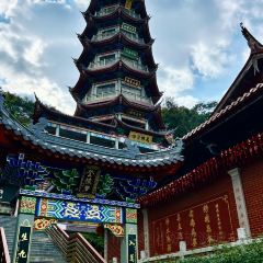 阿土伯烧仙草(石码店) User Photo