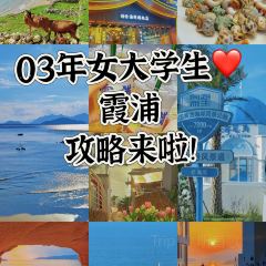 福宁美食城·滩涂海鲜 User Photo