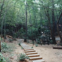 清雅茶苑(山湾里店) User Photo
