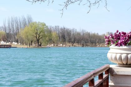 永超熏肉烧饼(宝德店)