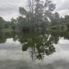 大美新疆 User Photo