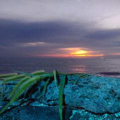 Starry User Photo
