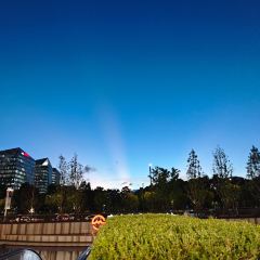 甬府尊鮮(前滩太古里店) User Photo