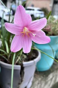 Gunan 格雷斯精選飯店（重慶江北國際機場中心店）優惠