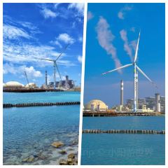 TIANCHENG NEST,SHARK-FINE&ABALONE User Photo