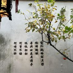 CUI JIANG User Photo