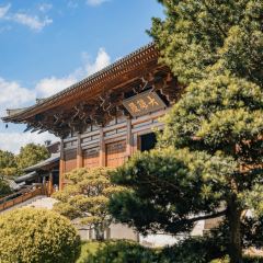 临空假日酒店(赤峰和美建材城玉龙机场店)·早餐厅 여행 사진