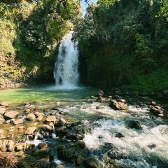 明记烧肉米线烧肉卷粉(中心小学店) User Photo