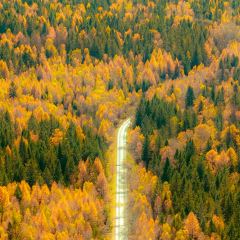 李氏烧烤屋 User Photo